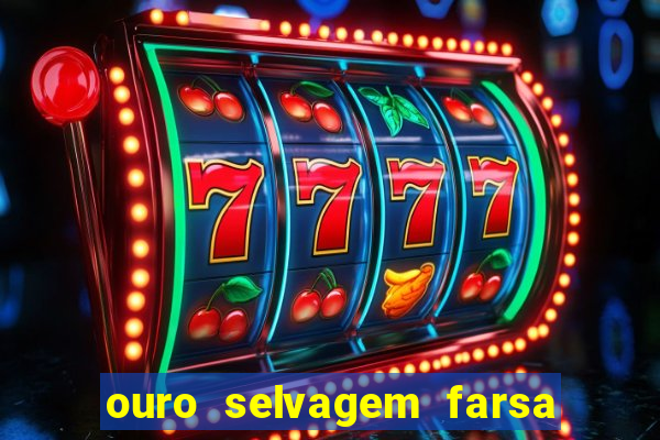 ouro selvagem farsa ouro selvagem o que aconteceu